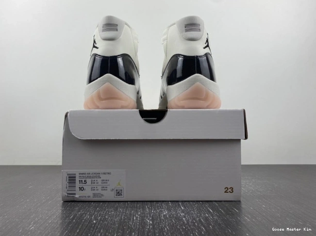 11 Jordan AR0715-101 Air Neapolitan 0519